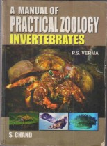 A MANUAL OF PRACTICAL ZOOLOGY INVERTEBRATES