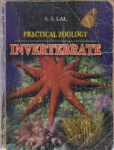 INVERTEBRATE