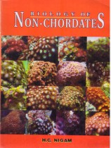 NON-CHORDATES
