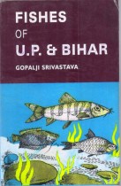 FISHES OF U.P. & BIHAR