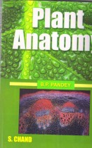 PLANT ANATOMY
