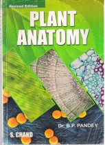 PLANT ANATOMY